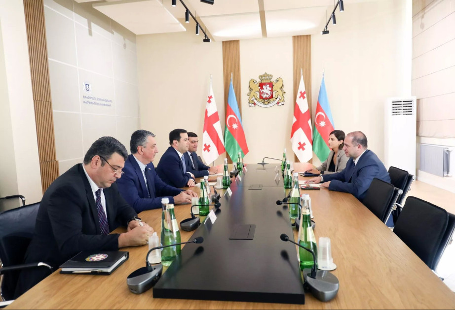 Gürcü və azərbaycanlı gənclər arasında əlaqələrin genişləndirilməsi məsələləri müzakirə olunub