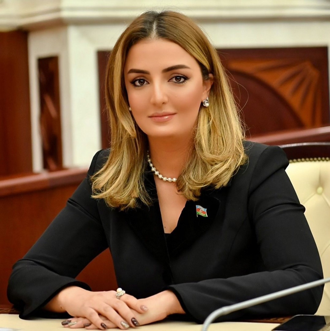 "Ermənistanda revanşist qüvvələr üçün ATƏT adlı “çətir” olmayacaq"