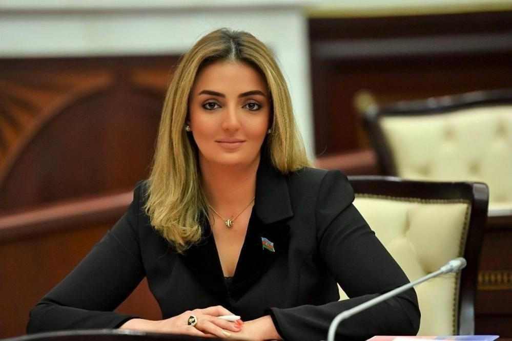 “Azərbaycan öz məsələsini özü həll etdi” -