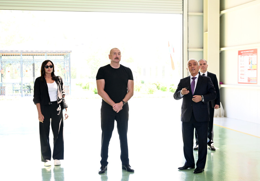 Kəlbəcərin Vəng kəndində “Aşağı Vəng”, “Nadirxanlı” və “Çaykənd” kiçik su elektrik stansiyalarının açılışı olub –