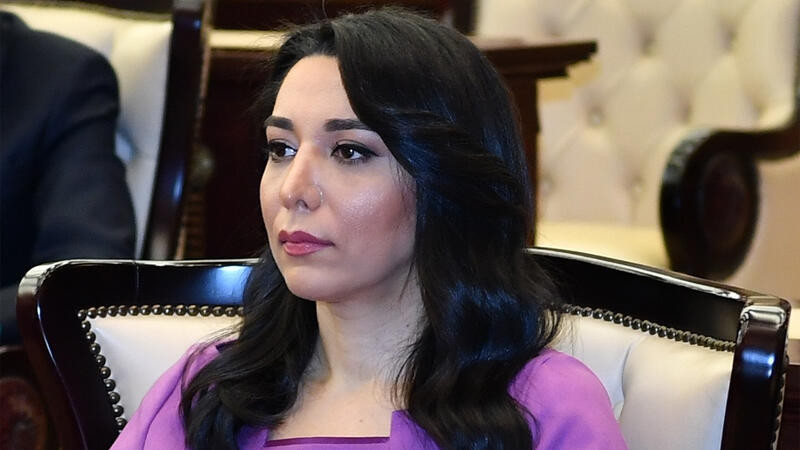 Ombudsmanın sülh sazişinin paraflanması ilə bağlı məqaləsi Türkiyə mediasında yayımlanıb
