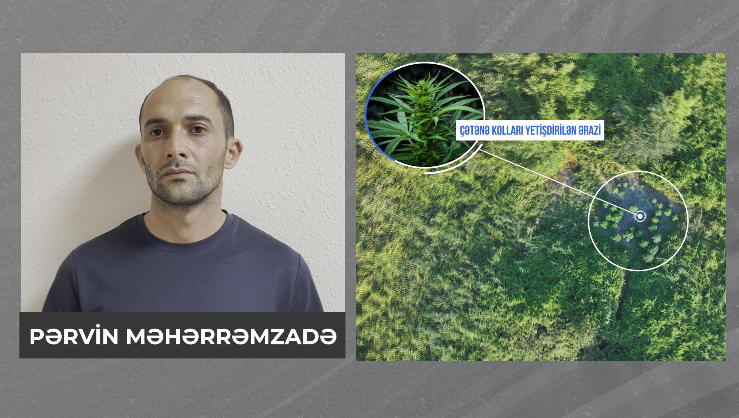 Şəkidə 8 kiloqram marixuana aşkar edilib