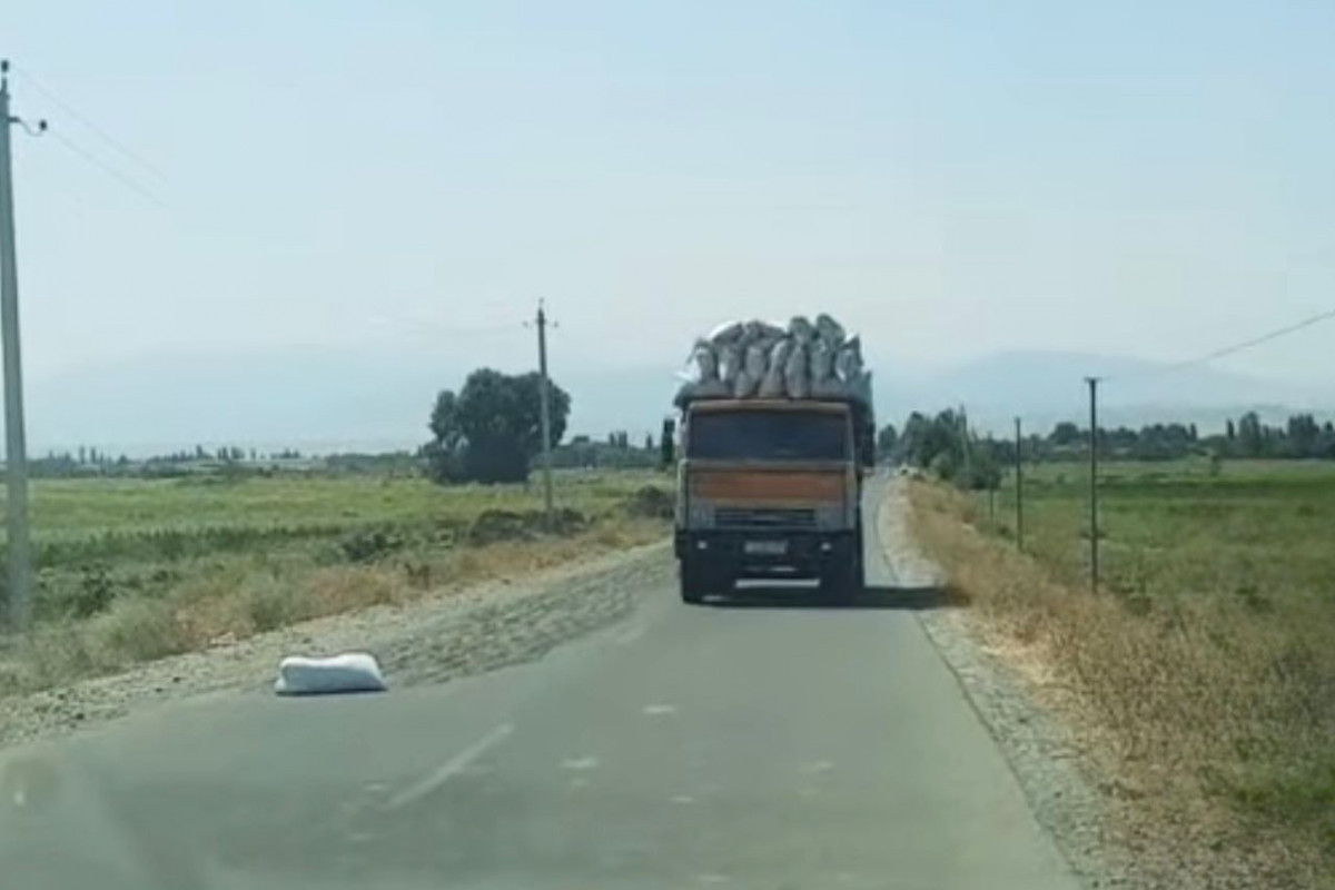 Yola günabaxan tumları yığan şəxs məsuliyyətə cəlb edilib