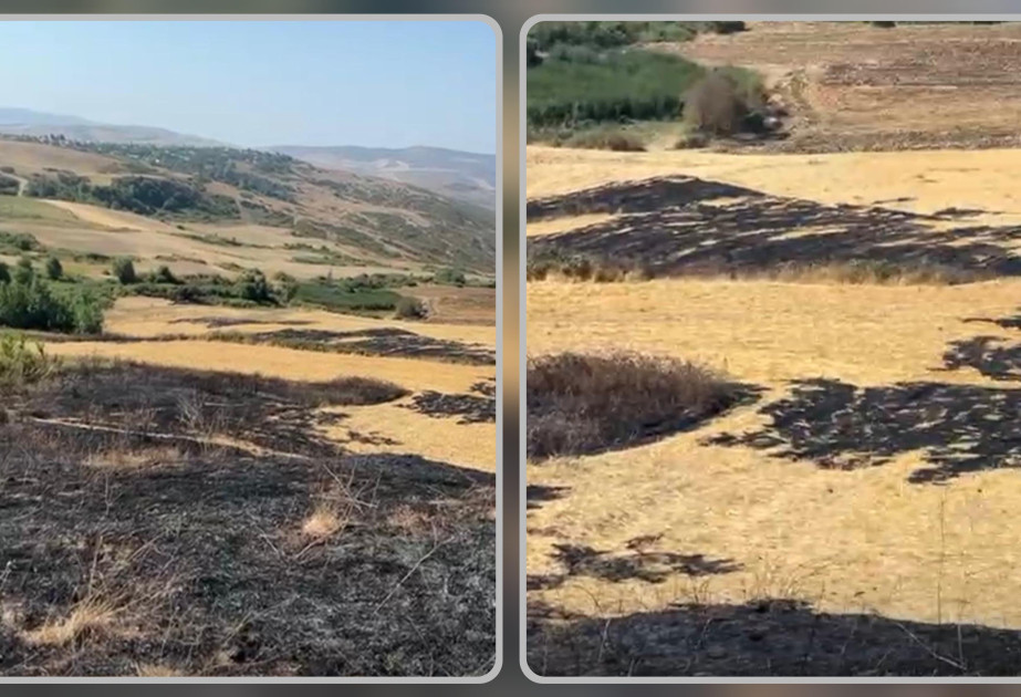 Şamaxıda yanğın törədən şəxs məsuliyyətə cəlb olunub