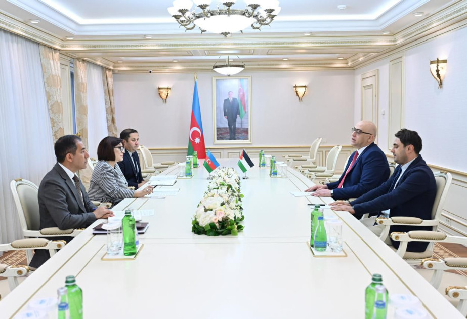 Azərbaycan və Fələstin parlamentləri arasında birgə əməkdaşlıqla bağlı fikir mübadiləsi aparılıb
