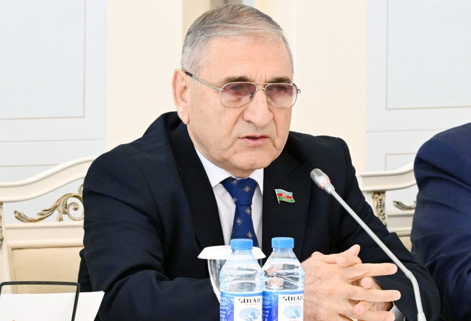 Deputat: "Azərbaycanda zəhərlənmələrin əsas səbəbi kustar istehsal məhsullarıdır"