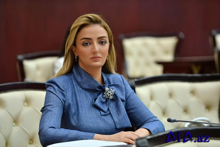 Ermənistanın işğal siyasəti dövründə İCESCO Azərbaycanın haqq işini dəstəkləyib -