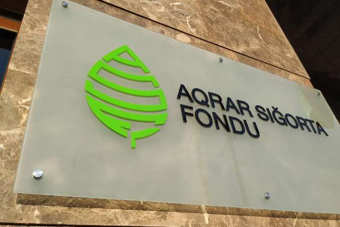 ASF: Fermerlər üzüm sahələrinə görə 168 min manat sığorta ödənişi alıb