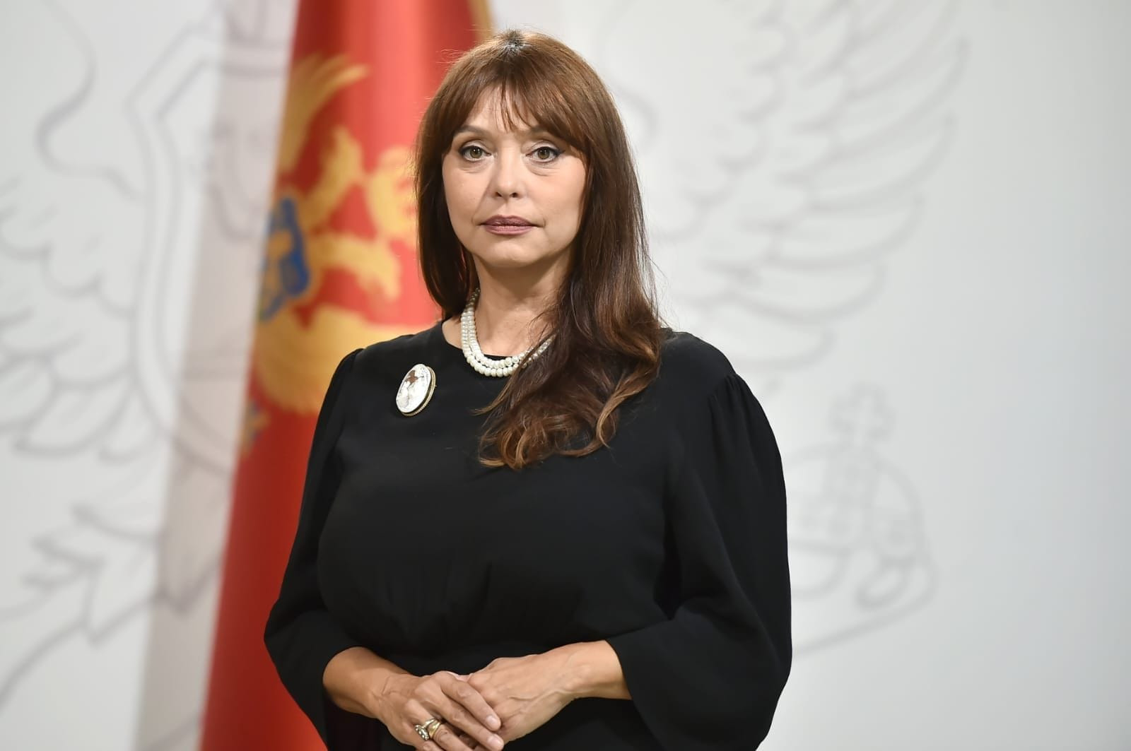 Nazir: "Azərbaycan Monteneqronun turizm sektoruna sərmayə qoyuluşunu artıracaq"