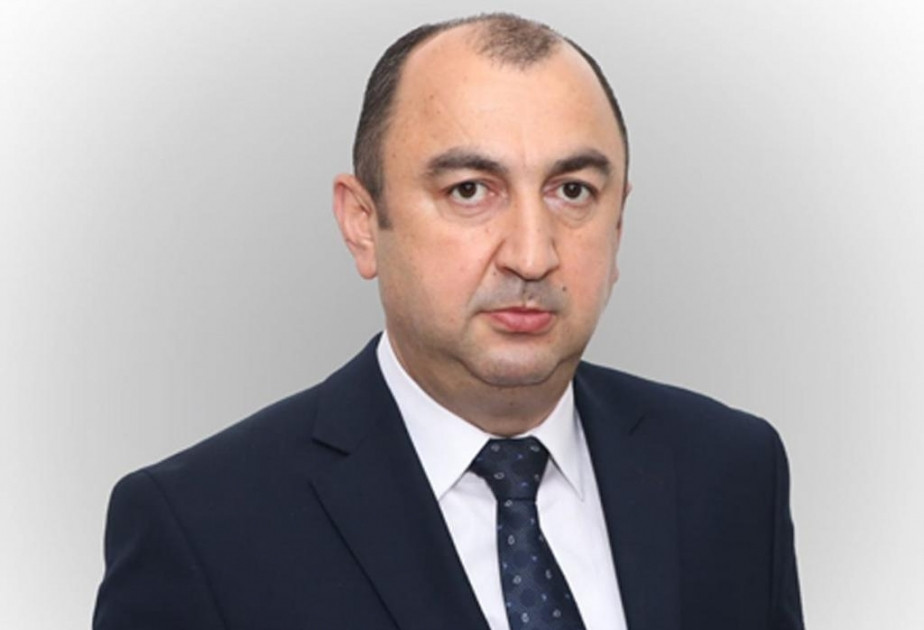 Nazir müavini: Zəngilan, Cəbrayıl, Ağdam və Füzuli rayonlarında 132 hektar yeni yaşıllıq sahəsi salınıb