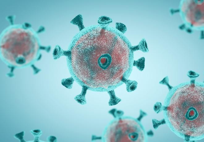 Koronavirus qayıdır?: Ukraynadan sonra Azərbaycanda da yayıla bilər