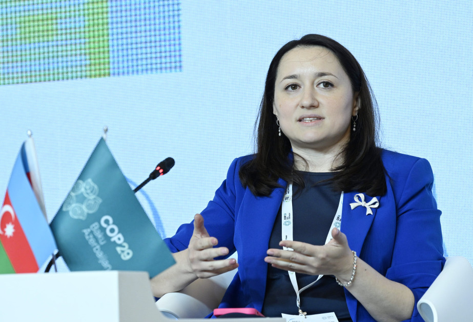 XİN nümayəndəsi: Azərbaycan kimi aşağı axın ölkələri yetərincə su ala bilmir