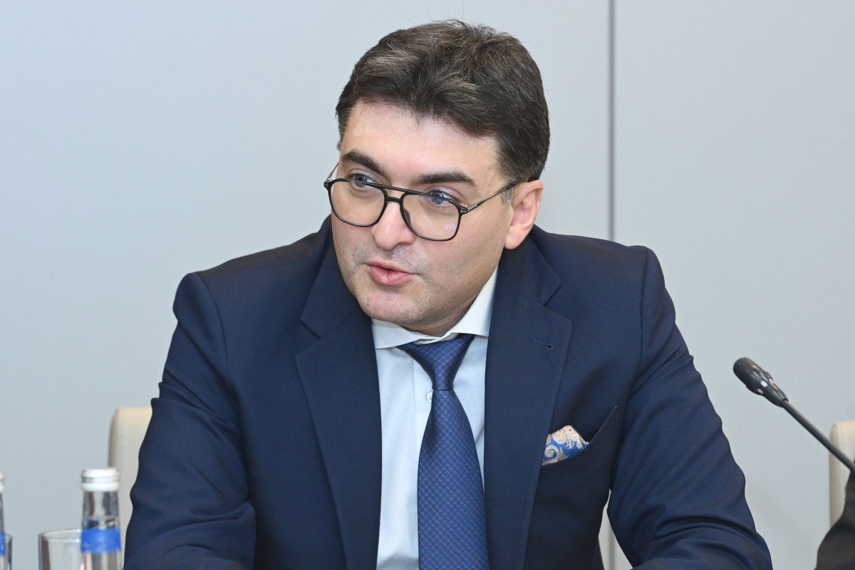 2030-cu ilə qədər bərpa olunan enerji mənbələrinin payı 38 faiz olacaq - Orxan Zeynalov