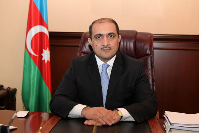 UNESCO təhsil sisteminə görə Azərbaycanda savadlılıq 100%-ə yaxındır - Nazir müavini