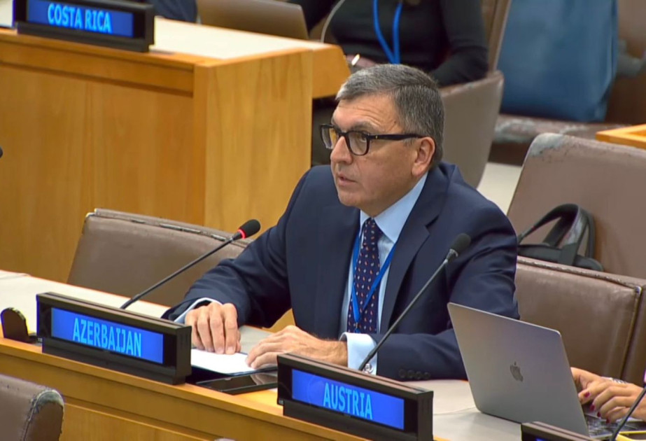 Tofiq Musayev: İşğaldan azad edilmiş ərazilərin minalardan çirklənməsi yenidənqurma işlərinə mane olur