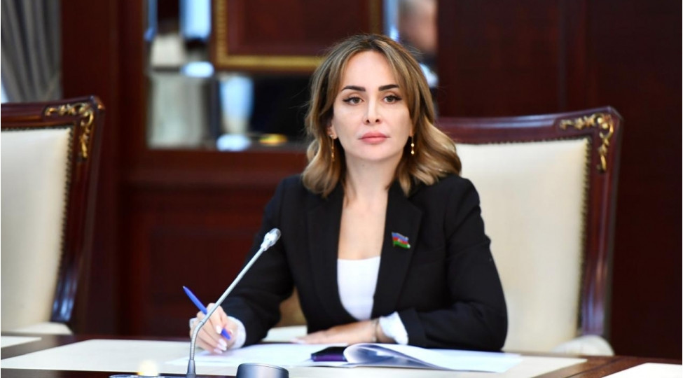 Azərbaycanın sülhyönümlü davranışı qarşı tərəf üçün böyük güzəştdir-