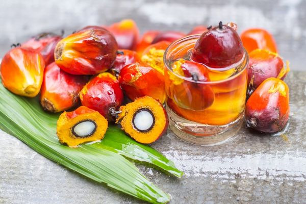 Bu il Azərbaycana 27 min tona yaxın palma yağı idxal edilib