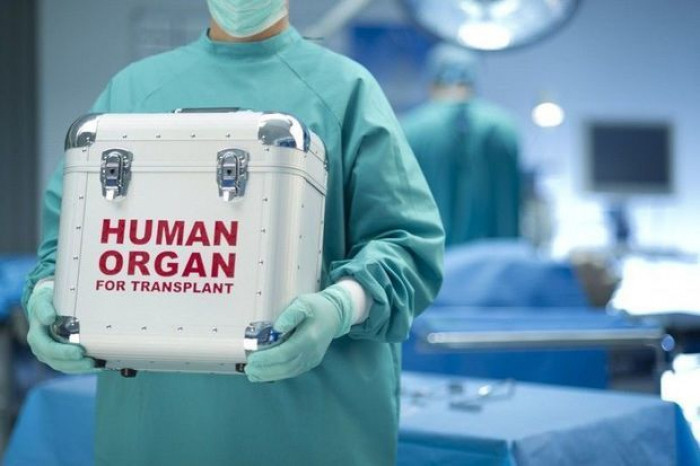 Sumqayıtda meyitdən orqan nəqli ilə bağlı beynəlxalq elmi konfrans keçirilir
