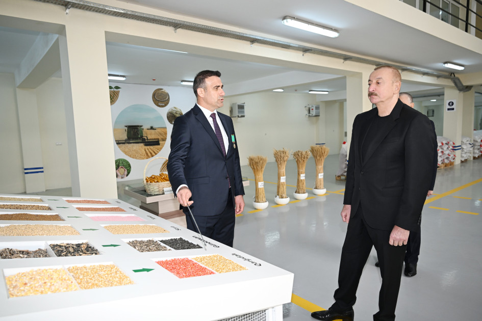 Prezident İlham Əliyev Sabirabad Sənaye Məhəlləsində toxum istehsalı müəssisəsinin fəaliyyəti ilə tanış olub