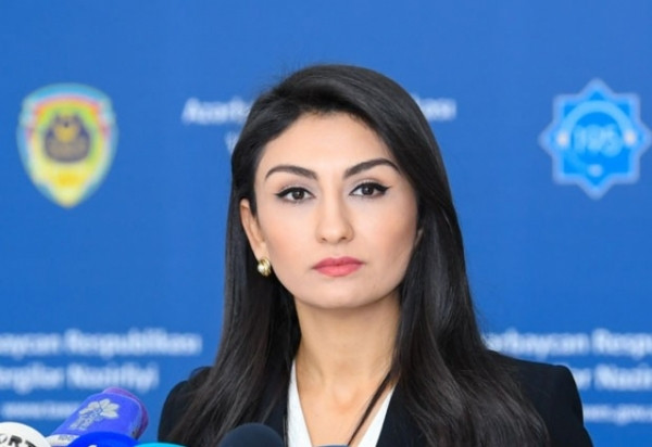 Samirə Musayeva: Azərbaycan Aİ-yə ixrac edəcəyi məhsullara görə "karbon vergisi" ödəyəcək