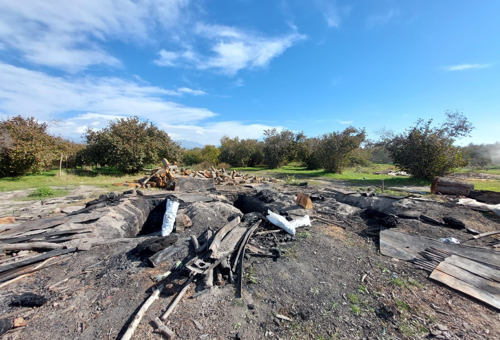 Oğuzda qanunsuz kömür quyuları aşkarlanıb