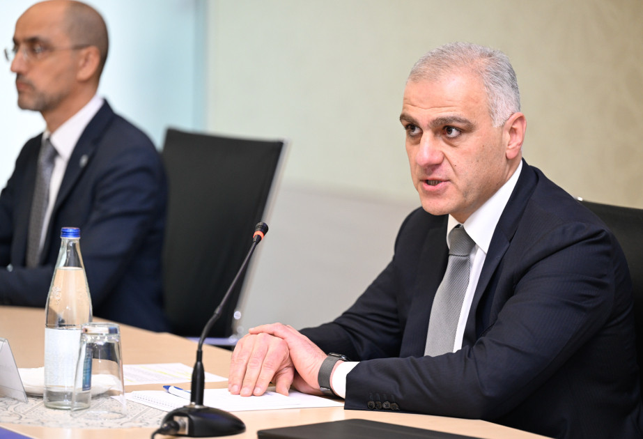 Nazir müavini: Zəngəzur dəhlizi geosiyasi risklərə qarşı dayanıqlı alternativ marşrut kimi çıxış edəcək