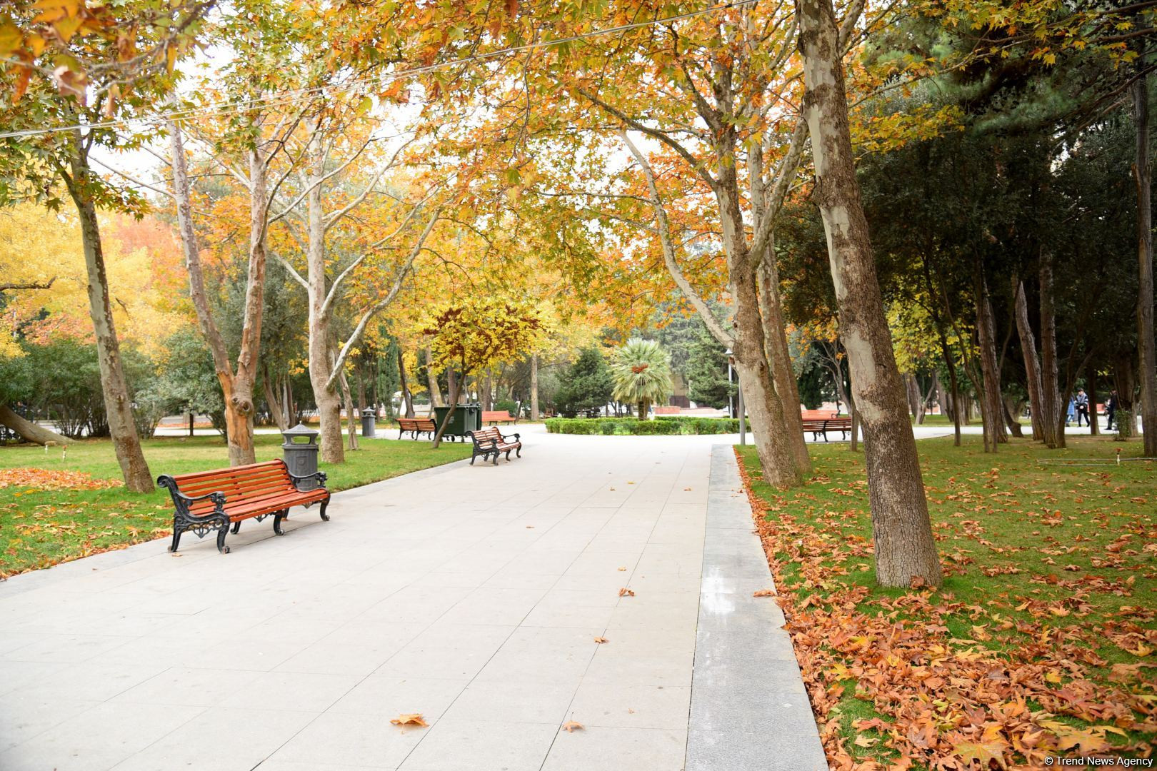 Noyabr ayına olan hava proqnozu açıqlanıb
