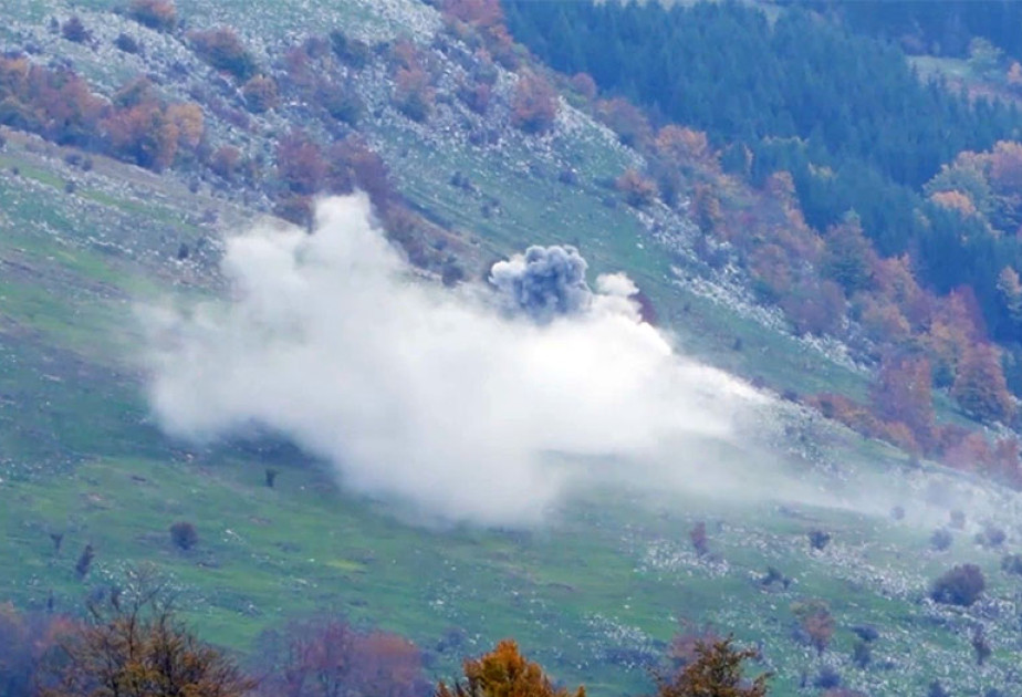 Müdafiə Nazirliyi həftəlik icmalı təqdim edib