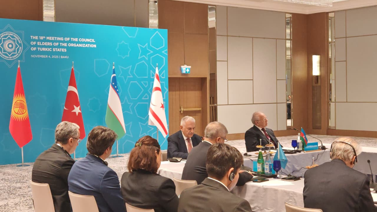 Binəli Yıldırım: TDT dövlətlərinin ağsaqqalları tariximizin dünyaya çatdırılması məqsədilə mütamadi addımlar atır