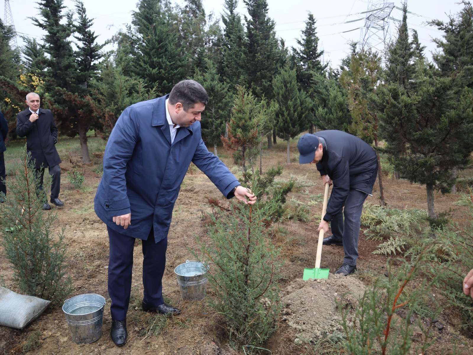 Yasamal rayonunda 8 Noyabr- Zəfər Günü ilə əlaqədar ağacəkmə aksiyası keçirilib