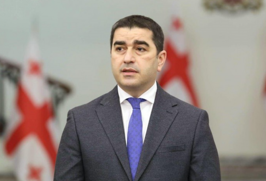 Şalva Papuaşvili: Brüssel dezinformasiya və təbliğatdan imtina etməlidir