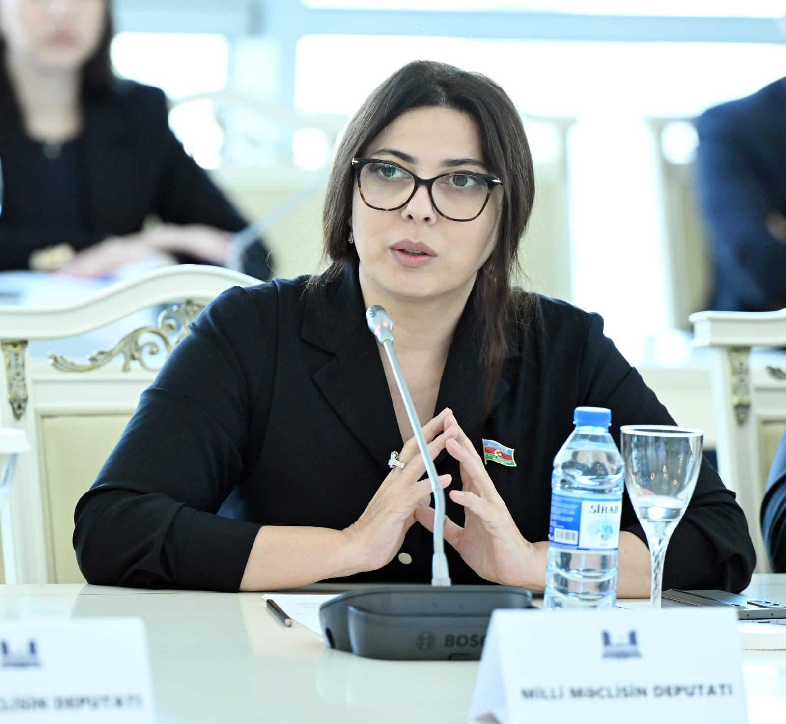 Səbinə Salmanova müdafiə sahəsində elmi-tədqiqat və innovasiyalara vəsaitin artırılmasını təklif edib