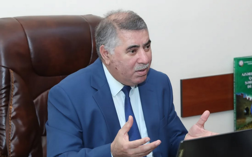 Dilçilik İnstitutunun direktoru: Azərbaycan dilinin milli korpusu yaradılır