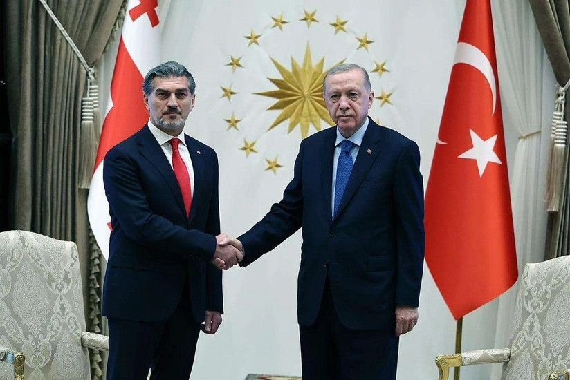 Türkiyə və Gürcüstan prezidentləri təyyarə qəzası ilə bağlı son durumu müzakirə ediblər