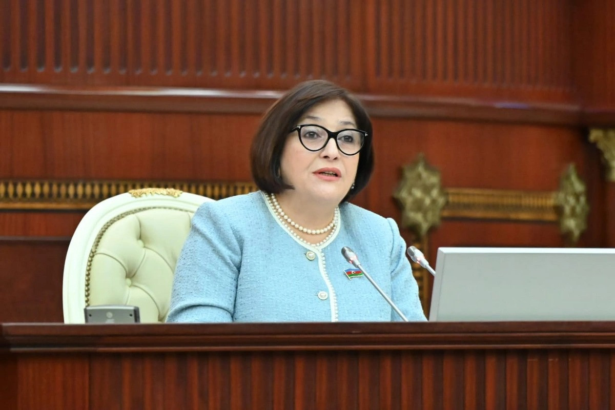 Sahibə Qafarova: Prezident İlham Əliyevin rəhbərliyi ilə Azərbaycanın iqtisadi müstəqilliyi möhkəmlənib