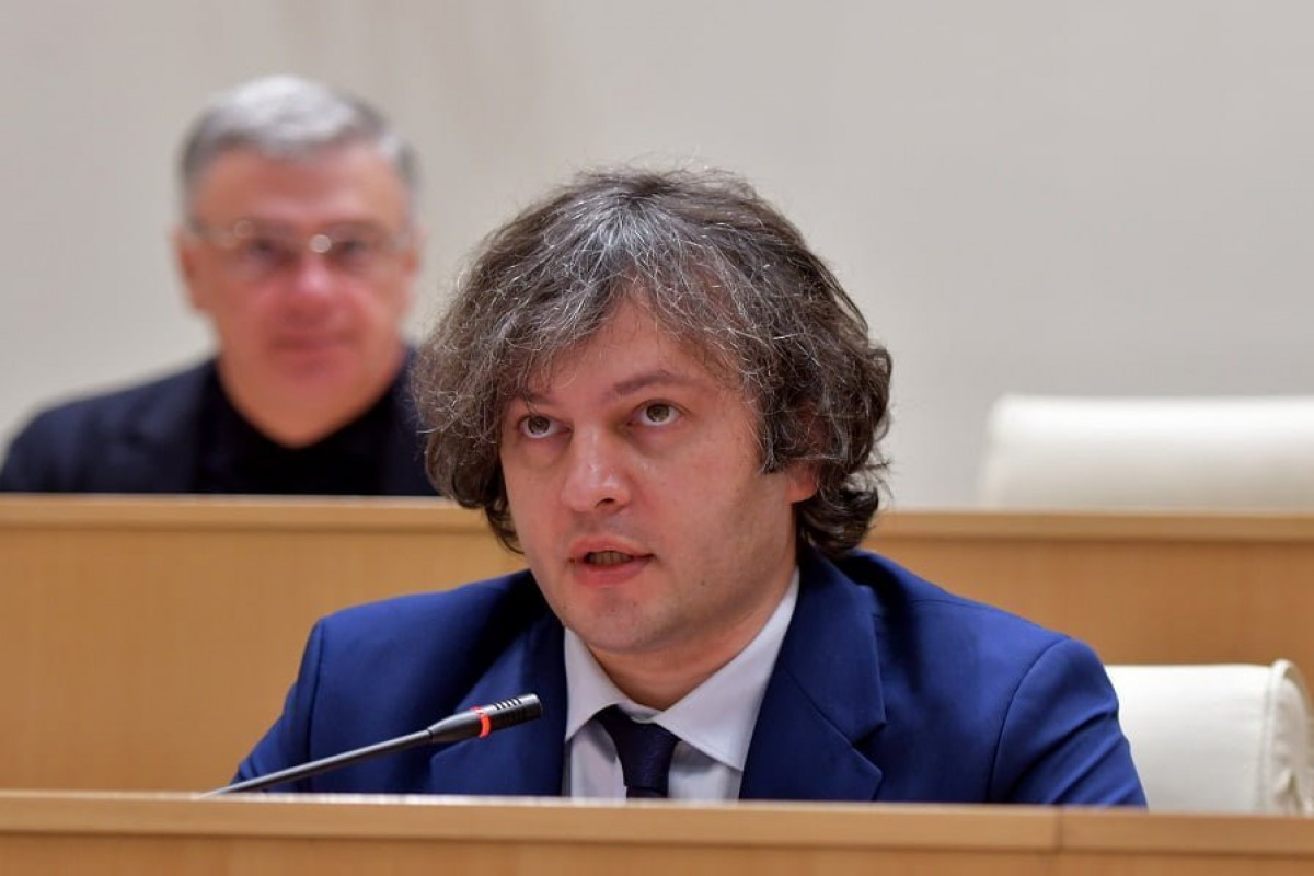 Gürcüstan: Aİ-nin vizasız rejimi ləğvi təzyiq vasitəsi kimi qiymətləndirilir