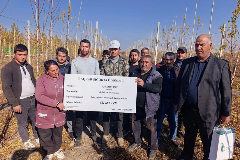 Azərbaycanda meyvə bağları üzrə böyük məbləğdə aqrar sığorta ödənişi edilib