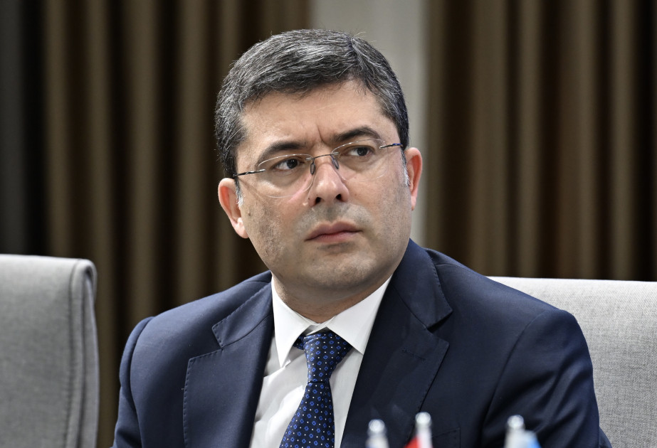 D-8 ölkələri Media Mükəmməllik Məktəbinin yaradılmasını müzakirə edir