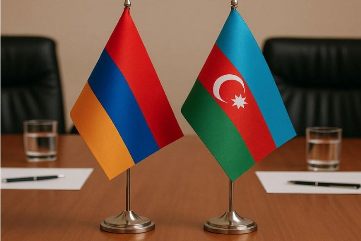 Ermənistan vətəndaş cəmiyyəti nümayəndələrinin Bakıya səfəri baş tutub