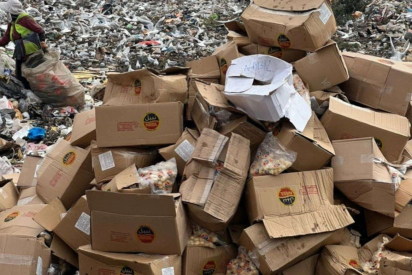 İordaniyadan idxal olunan pendirdə təhlükəli bakteriyalar tapılıb