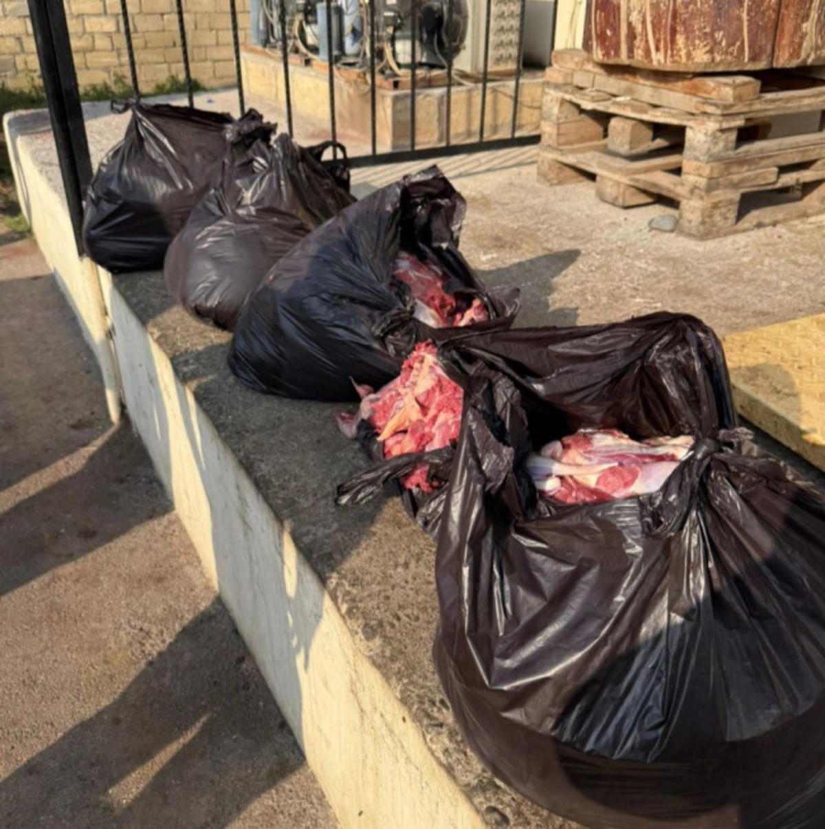 Bərdədə 154 kq at ətinin mal əti adı ilə satılması qarşısı alınıb