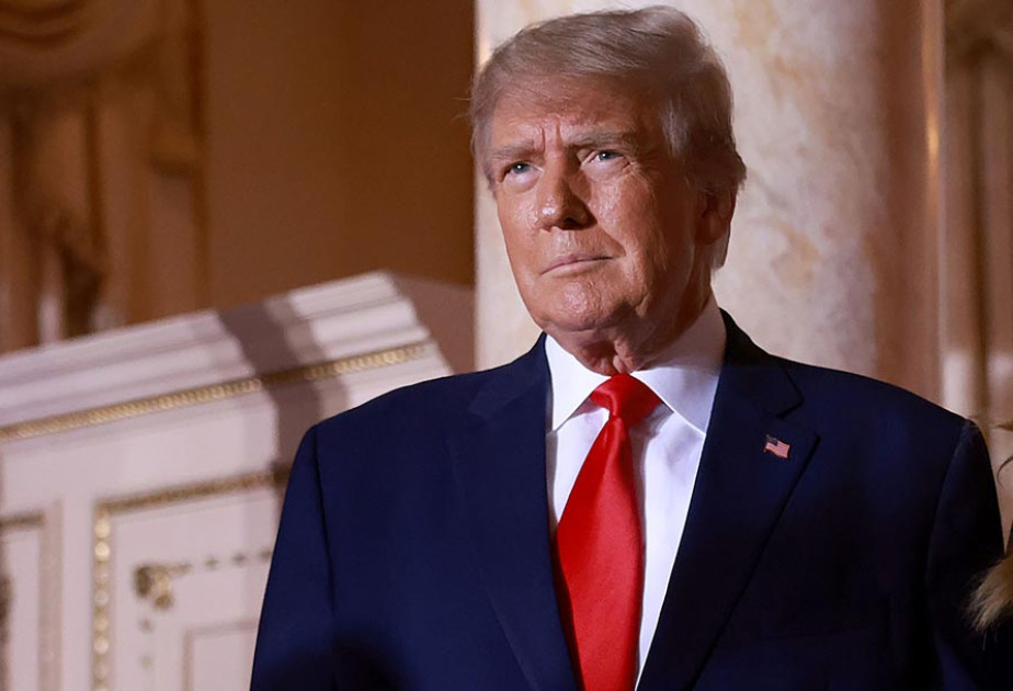 Almaniya Trampın sülh planına qarşı çıxmaq üçün ittifaq yaratmaq niyyətindədir