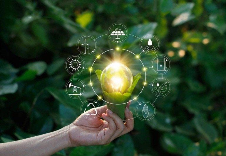 Azərbaycanda kənd təsərrüfatı torpaqlarının BOEM layihələri üçün istifadəsinə dair düzəlişlər hazırlanır