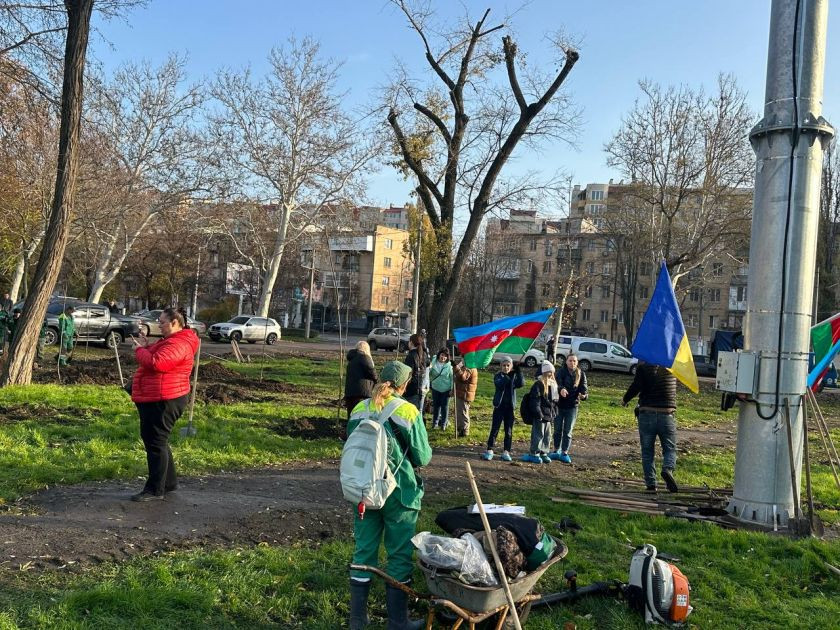 Soydaşlarımız Odessada ağacəkmə aksiyası keçirib
