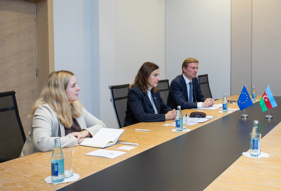 Avropa İttifaqının Azərbaycandakı nümayəndəliyinin rəhbəri ilə dekarbonizasiya üzrə əməkdaşlıq müzakirə olunub