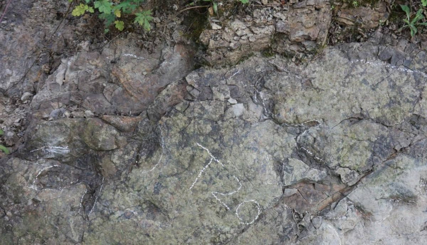 Çində 200 milyon illik dinozavr izləri tapılıb