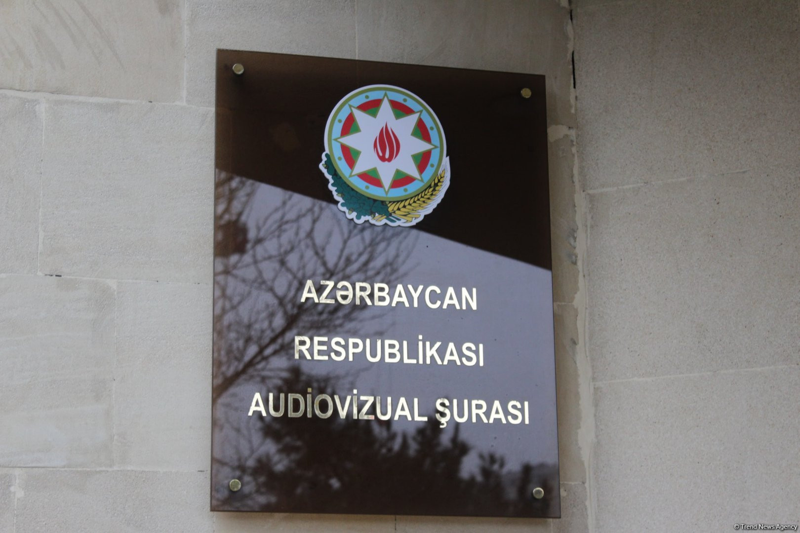 Audiovizual Şura: