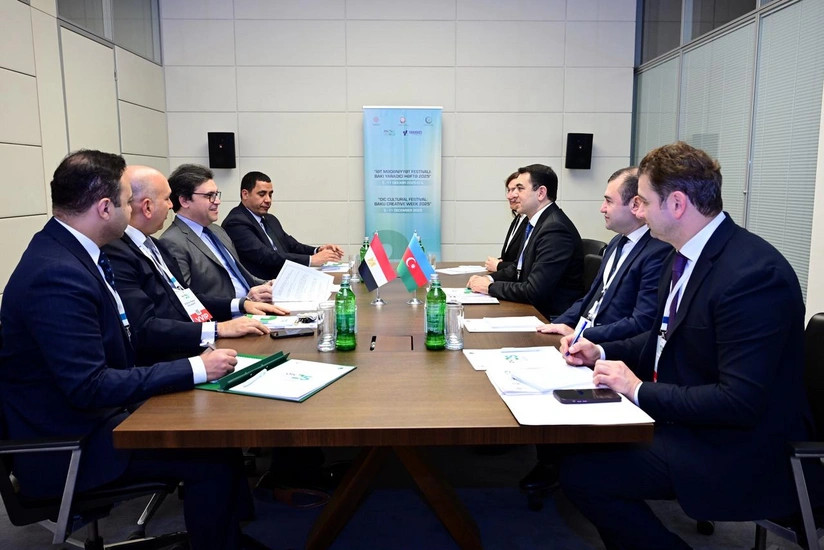 Azərbaycan və Misir mədəni əməkdaşlığı müzakirə edib