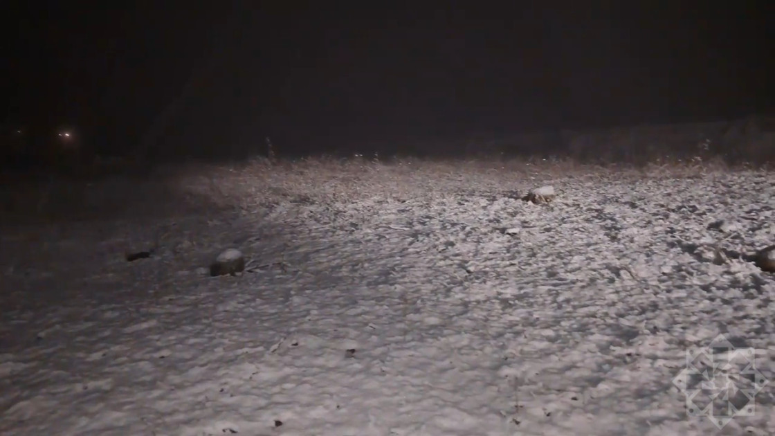 Laçına qar yağır