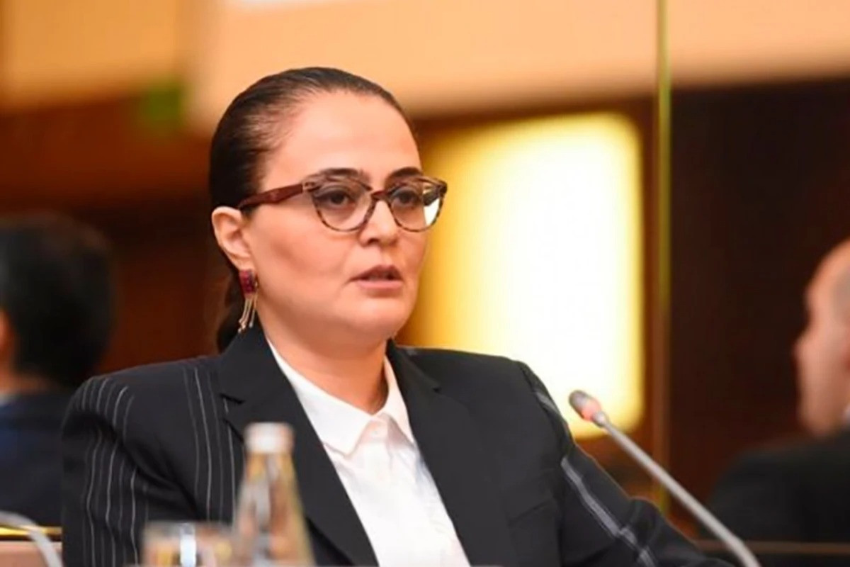 Azərbaycan mədəniyyətinin qorunması üçün yeni qanun layihələri hazırlanır